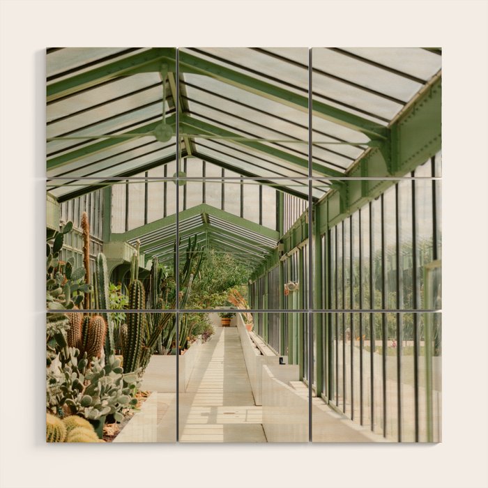 Botanical gardens of Paris | France travel photography | Greenhouse Wood Wall Art Gallery Image 1