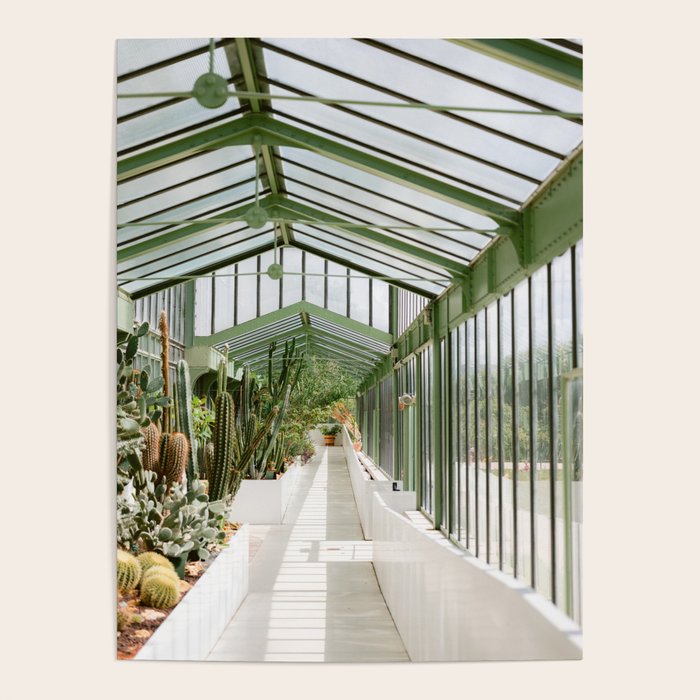 Botanical gardens of Paris | France travel photography | Greenhouse Poster Gallery Image 4