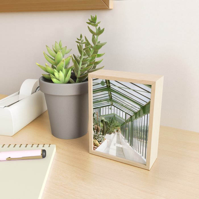 Botanical gardens of Paris | France travel photography | Greenhouse Mini Art Print Gallery Image 2