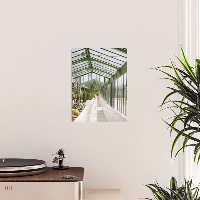 Botanical gardens of Paris | France travel photography | Greenhouse Poster Gallery Image 2
