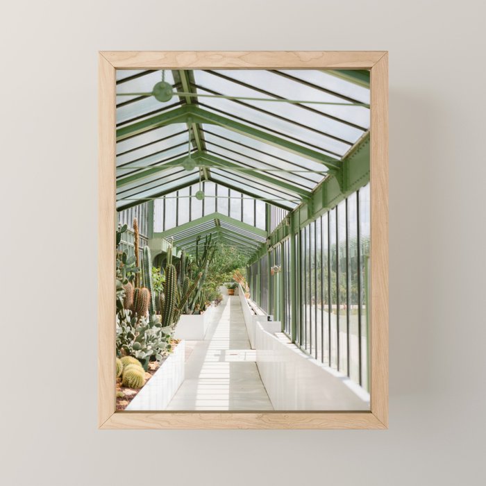 Botanical gardens of Paris | France travel photography | Greenhouse Mini Art Print Gallery Image 1