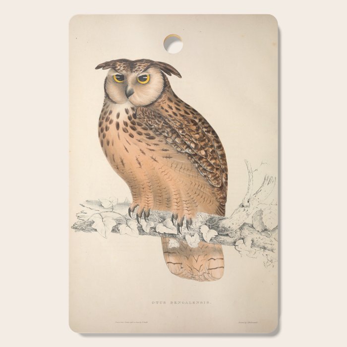 Rock eagle-owl by Elizabeth Gould from "A Century of Birds from the Himalaya Mountains," 1831 Cutting Board Gallery Image 1