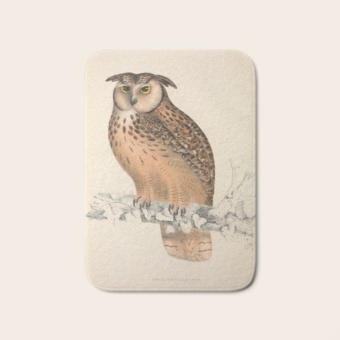 Rock eagle-owl by Elizabeth Gould from "A Century of Birds from the Himalaya Mountains," 1831 Bath Mat Gallery Image 1