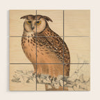 Rock eagle-owl by Elizabeth Gould from "A Century of Birds from the Himalaya Mountains," 1831 Wood Wall Art Gallery Image 1