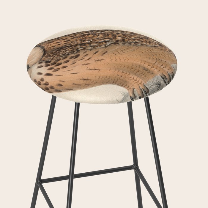 Rock eagle-owl by Elizabeth Gould from "A Century of Birds from the Himalaya Mountains," 1831 Stool Gallery Image 2