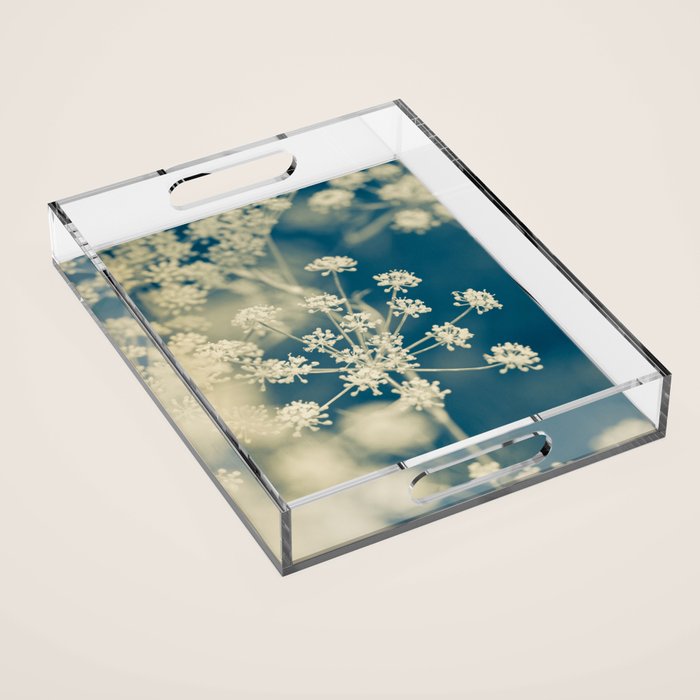 Indigo Dill Botanical Study 2 Acrylic Tray Gallery Image 1