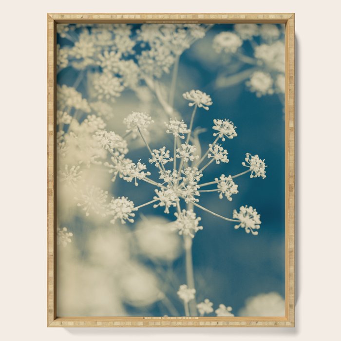 Indigo Dill Botanical Study 2 Serving Tray Gallery Image 1