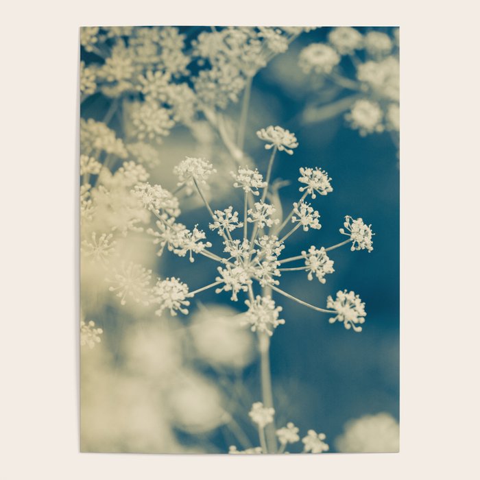 Indigo Dill Botanical Study 2 Poster Gallery Image 1