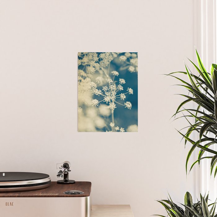 Indigo Dill Botanical Study 2 Poster Gallery Image 2