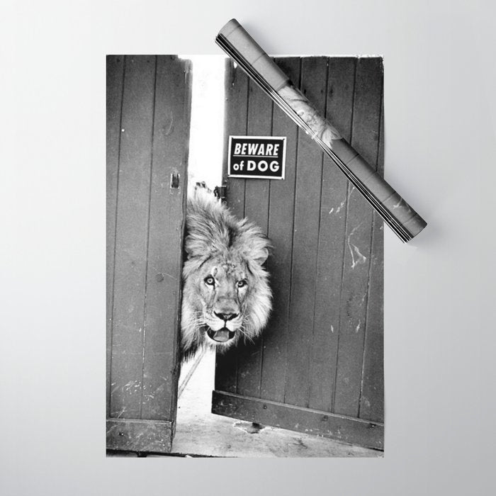 Beware of Dog black and white photograph of attack lion humorous black and white photography Wrapping Paper Gallery Image 1
