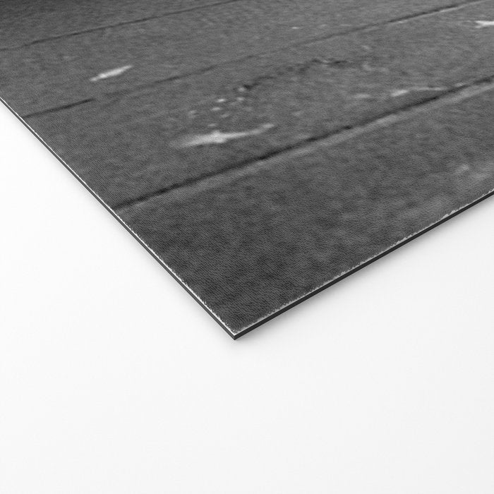 Beware of Dog black and white photograph of attack lion humorous black and white photography Welcome Mat Gallery Image 2