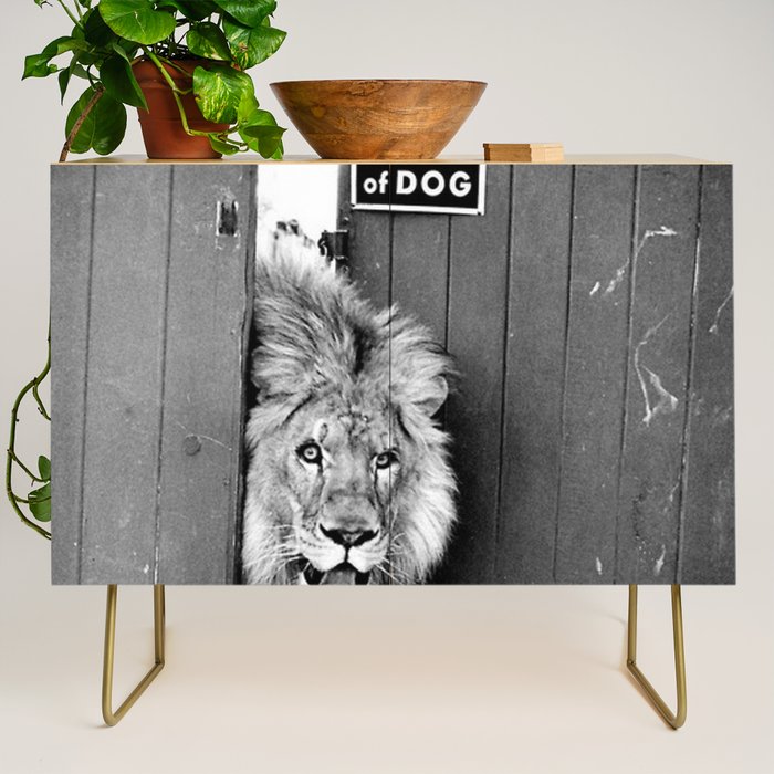 Beware of Dog black and white photograph of attack lion humorous black and white photography Credenza Gallery Image 1