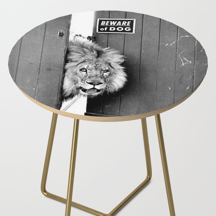 Beware of Dog black and white photograph of attack lion humorous black and white photography Side Table Gallery Image 2