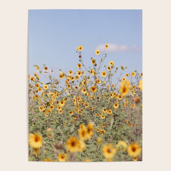 Texas Sunflower Field Poster Gallery Image 4
