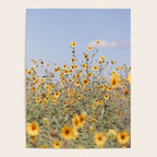 Texas Sunflower Field Poster Gallery Image 4