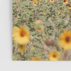 Texas Sunflower Field Poster Gallery Image 3