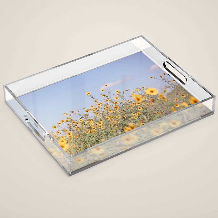 Texas Sunflower Field Acrylic Tray Gallery Image 1