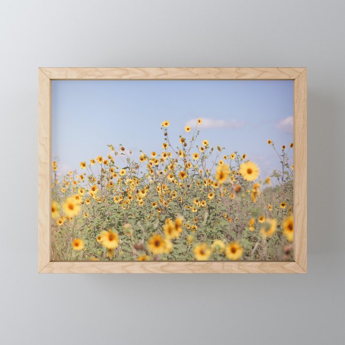 Texas Sunflower Field Mini Art Print