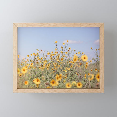 Texas Sunflower Field Mini Art Print