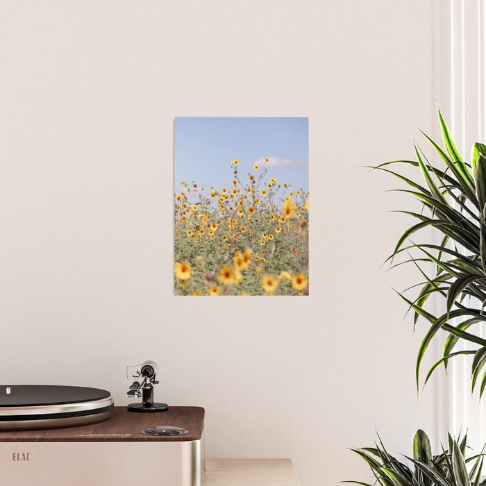 Texas Sunflower Field Poster Gallery Image 2