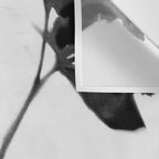 Black and White Moody Floral 2 Wall Tapestry Gallery Image 3