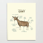 Anatomy of a Goat Notebook Gallery Image 4