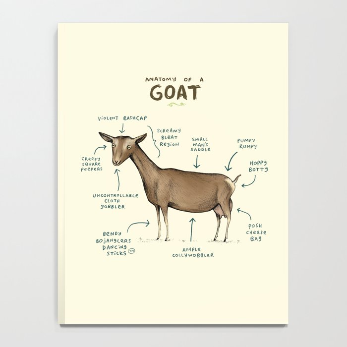 Anatomy of a Goat Notebook Gallery Image 4