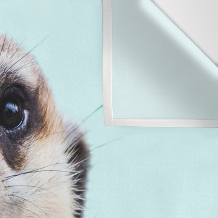 MEERKAT Wall Tapestry Gallery Image 3