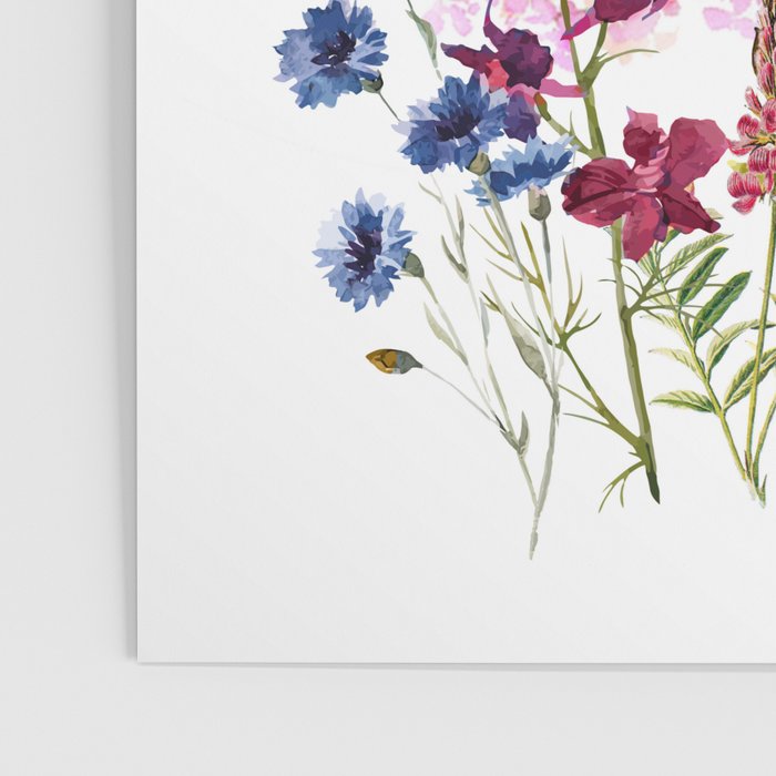Wildflowers IV Poster Gallery Image 3
