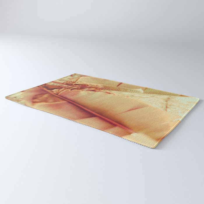 Rosé Rug Gallery Image 3