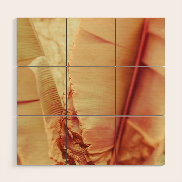 Rosé Wood Wall Art Gallery Image 1
