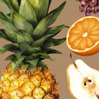 Fruits Botanical Art 2 Coffee Mug Gallery Image 2