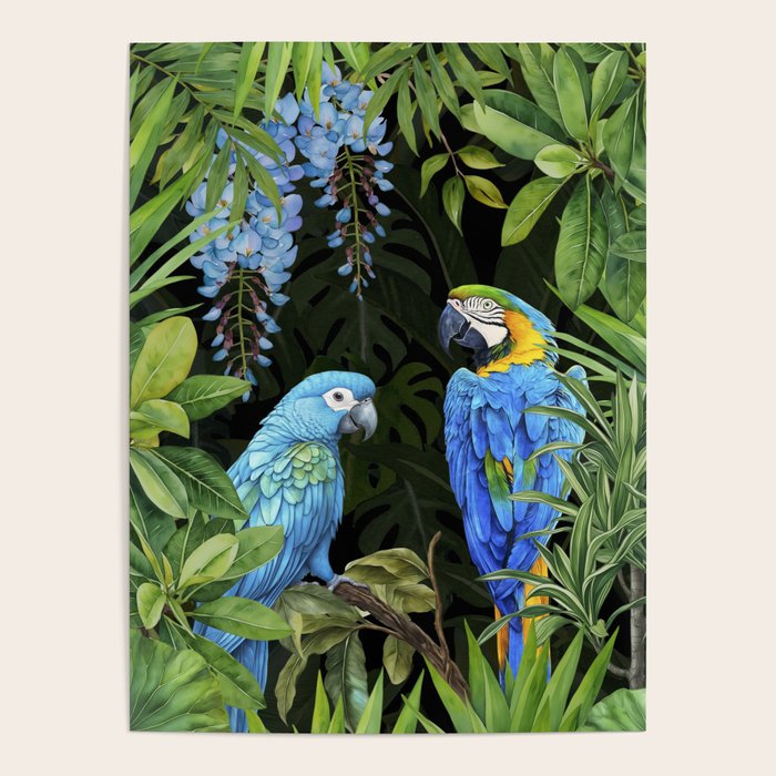 Tropical Blues Watercolor Parrots In The Canopy Poster Gallery Image 4