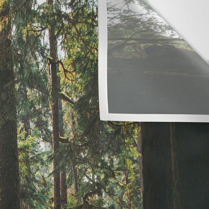 Echoes of the Forest Wall Tapestry Gallery Image 3