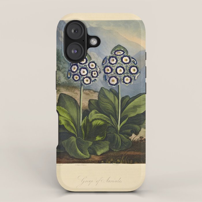 Auriculas from "The Temple of Flora," 1812 (benefitting The Nature Conservancy) iPhone Case Gallery Image 1