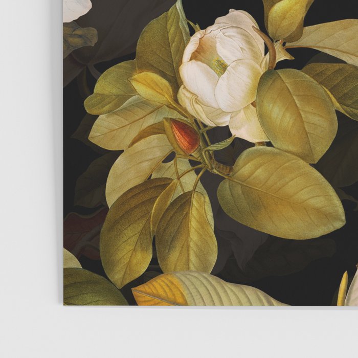Vintage & Shabby Chic - Midnight Magnolia Botanical Garden Poster Gallery Image 3