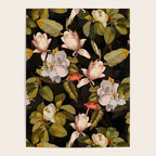 Vintage & Shabby Chic - Midnight Magnolia Botanical Garden Poster Gallery Image 4