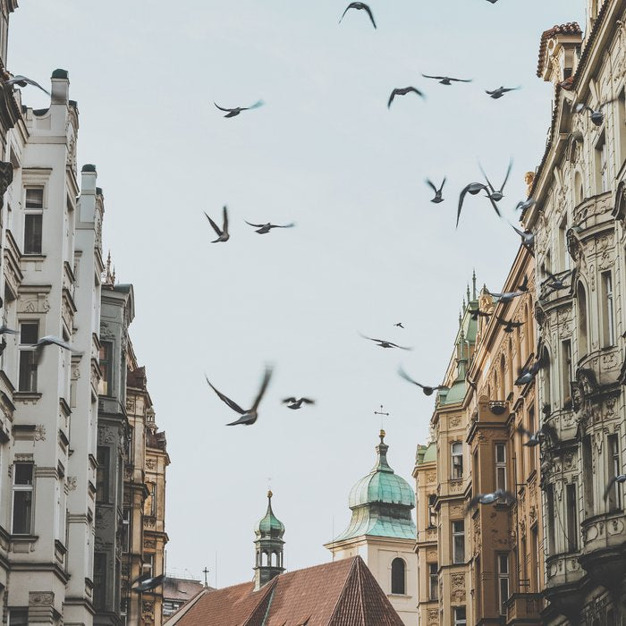 Prague, Czechia VI Coffee Mug Gallery Image 2