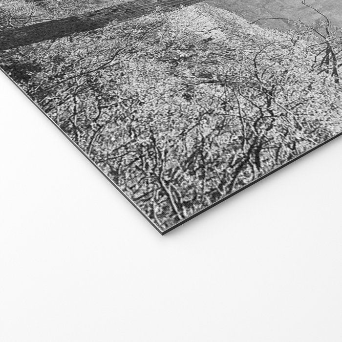 ARIZONA DESERT II Welcome Mat Gallery Image 2