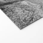 ARIZONA DESERT II Welcome Mat Gallery Image 2