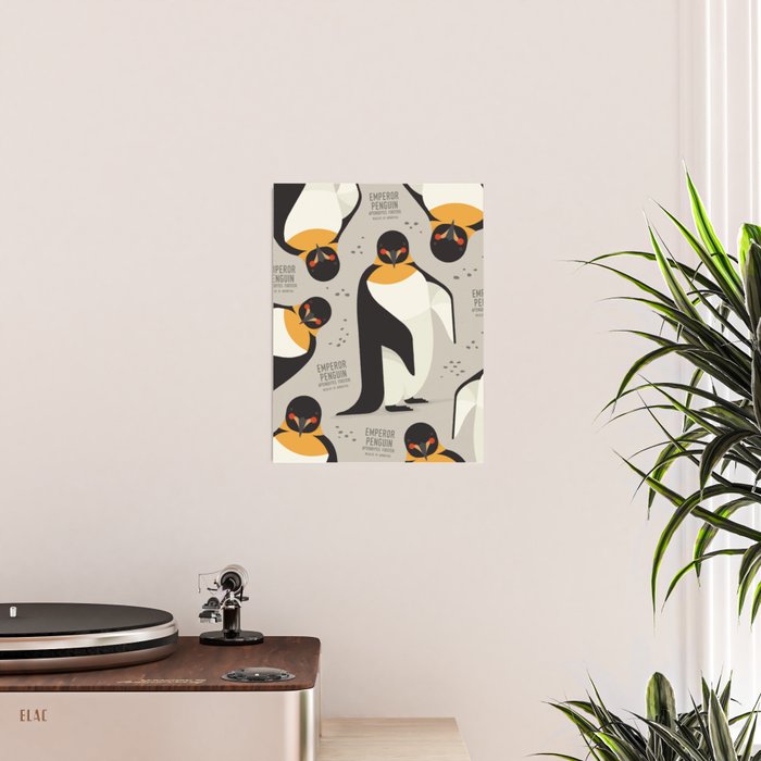 Emperor Penguin, Wildlife of Antarctica Poster Gallery Image 2