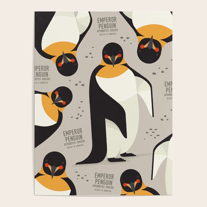 Emperor Penguin, Wildlife of Antarctica Poster Gallery Image 4