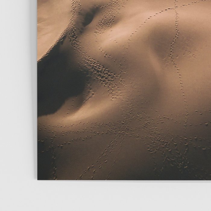 Abstract Dunes In The Desert Poster Gallery Image 3