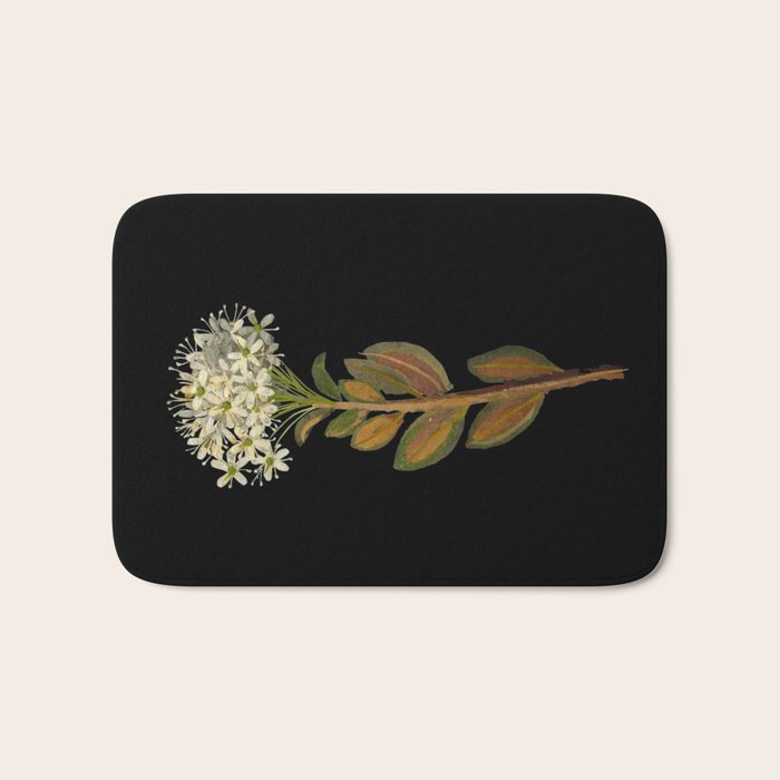 Ledum Latifolium by Mary Delany Paper Collage Floral Flower Botanical Paper Mosaic Vintage Scientific Plant Anatomy  Bath Mat Gallery Image 1
