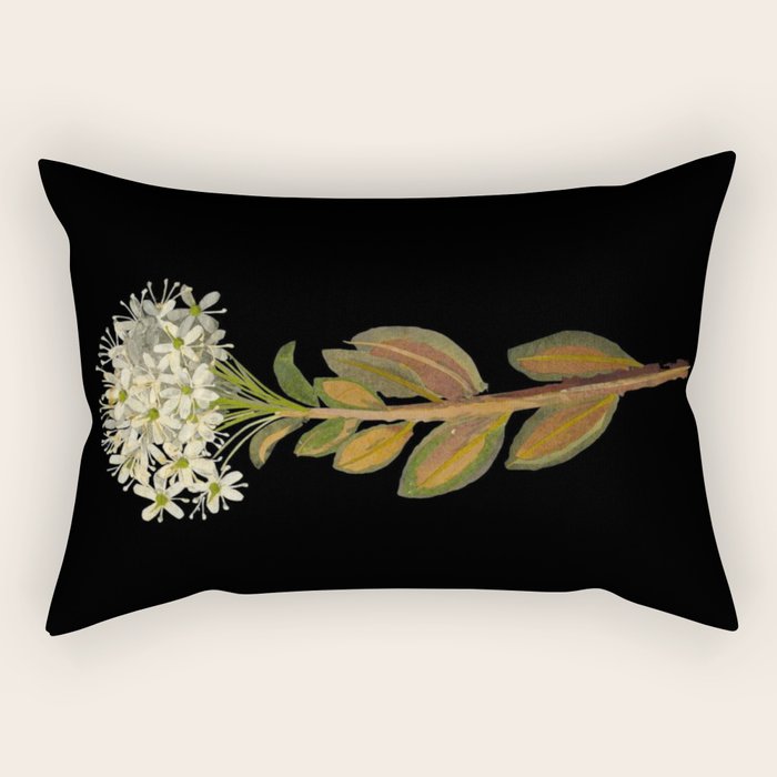 Ledum Latifolium by Mary Delany Paper Collage Floral Flower Botanical Paper Mosaic Vintage Scientific Plant Anatomy  Rectangular Pillow Gallery Image 2