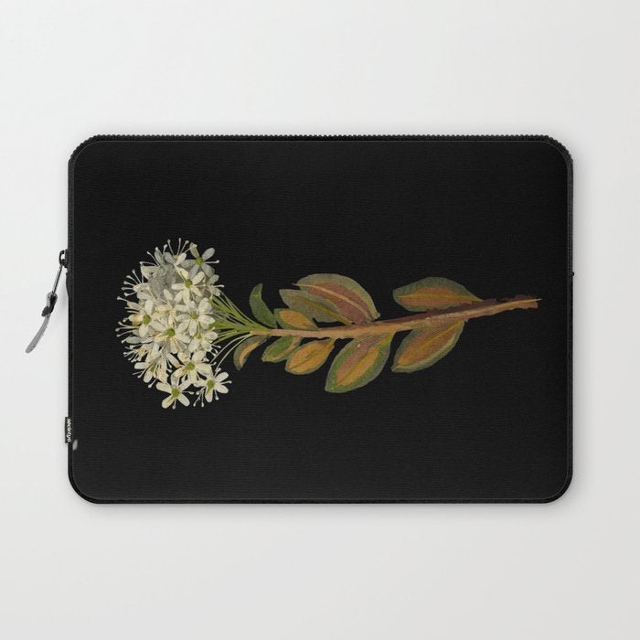Ledum Latifolium by Mary Delany Paper Collage Floral Flower Botanical Paper Mosaic Vintage Scientific Plant Anatomy  Laptop Sleeve Gallery Image 1