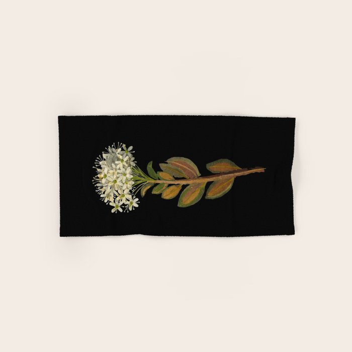 Ledum Latifolium by Mary Delany Paper Collage Floral Flower Botanical Paper Mosaic Vintage Scientific Plant Anatomy  Bath Towel Gallery Image 1