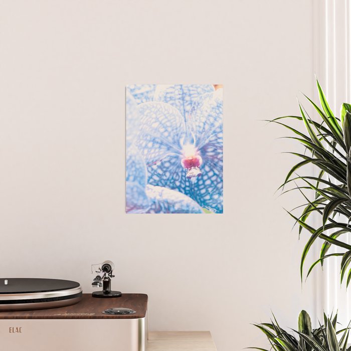 Orchid Poster Gallery Image 2