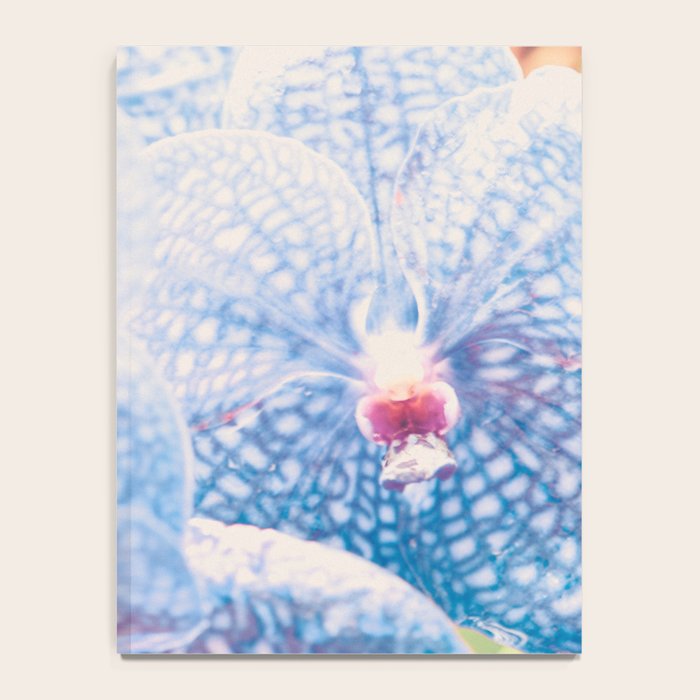 Orchid Notebook Gallery Image 4