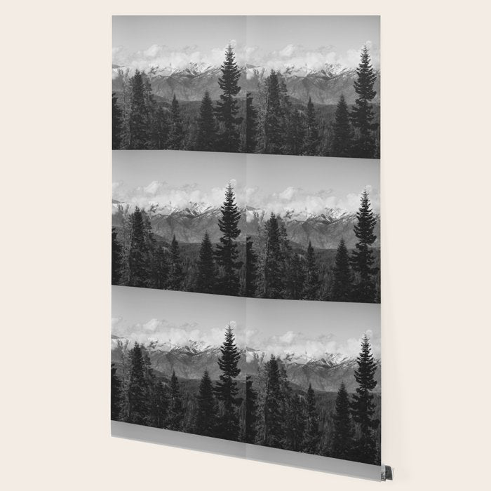Snow Capped Sierras - Black and White Nature Photography Wallpaper Gallery Image 2